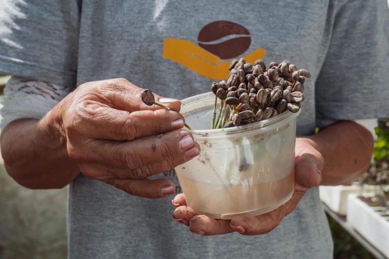 aics mision oriente40