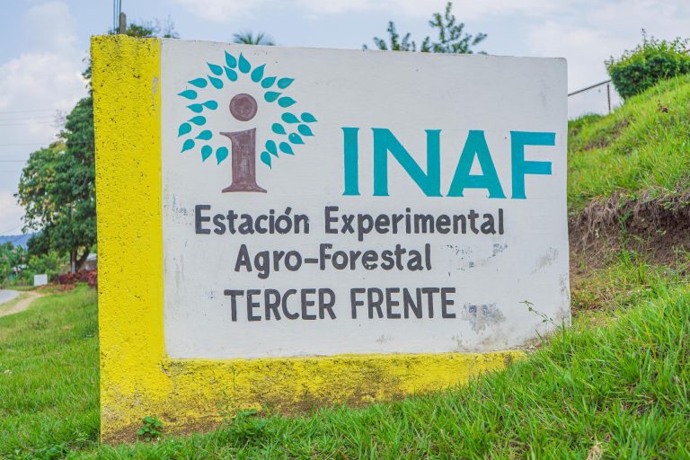 aics mision oriente44