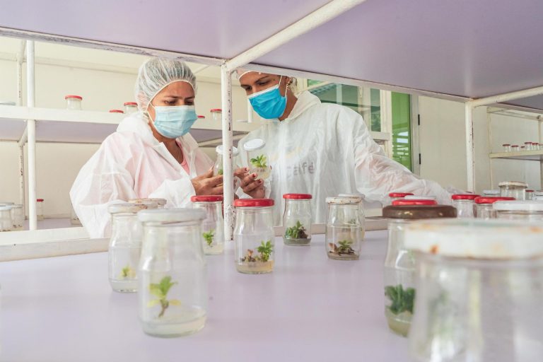 aics mision oriente53